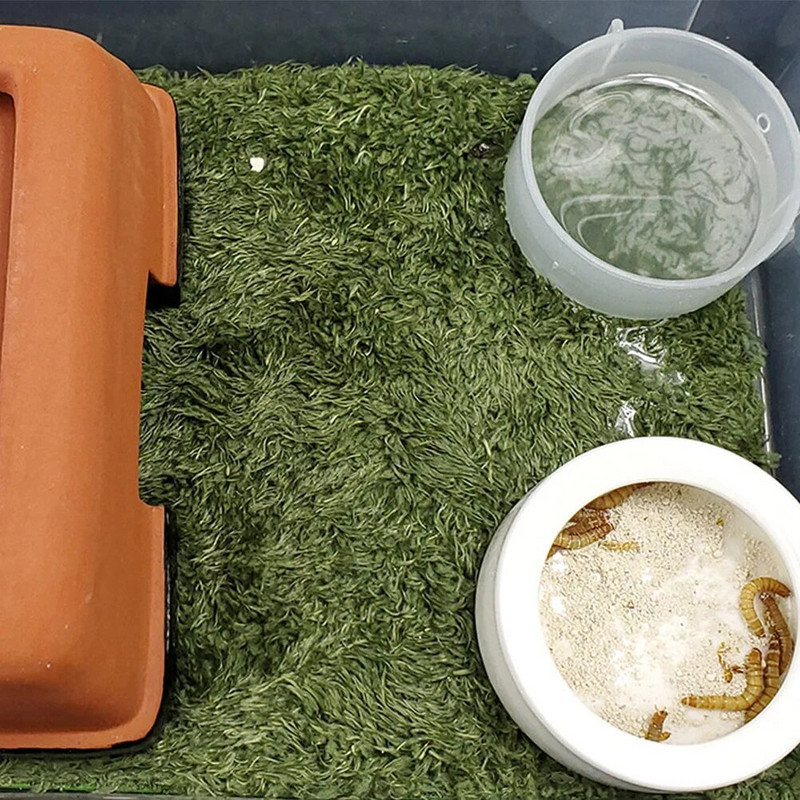 Stikls nolaižams mājdzīvnieku paklājs zāliena zonas paklāji Dzīvotne Kokvilna mazgājams lolojumdzīvnieku paklājiņš