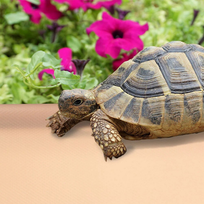 Reptile Carpet Terrarium Liner Gultas rāpuļu substrāta paklājiņš bārdainajam pūķa leopardam