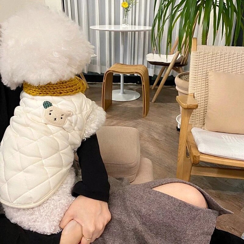 Παλτό Puppy για το Φθινόπωρο και το Χειμώνα Παλτό με βαμβακερή επένδυση για κατοικίδια Ρούχα σκύλου μονόχρωμα Ζεστά μπουφάν με βαμβάκι για σκύλους κατοικίδιων ζώων