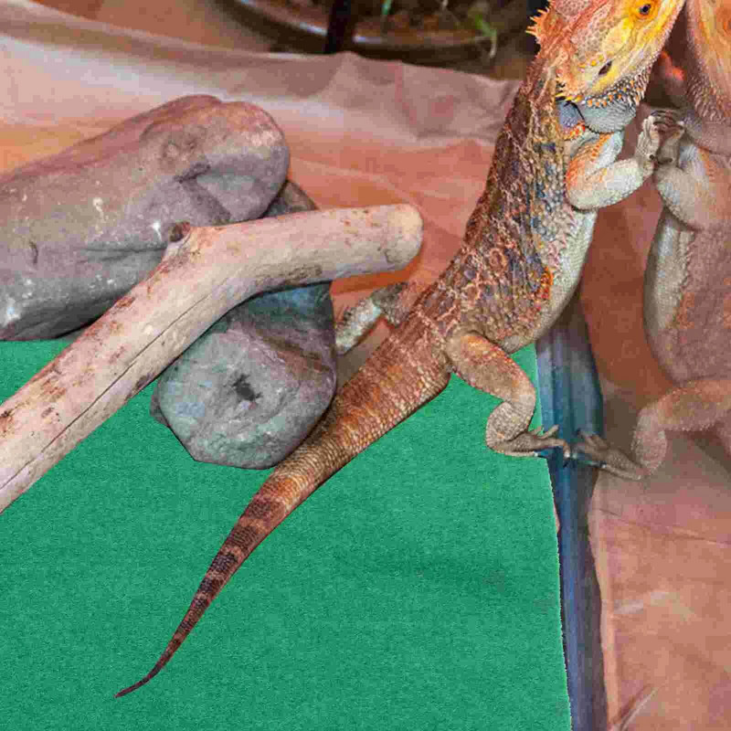 60 x 40 cm ūdensnecaurlaidīgs rāpuļu paliktnis, silts bruņurupuču paliktnis mājdzīvnieku gulēšanai, rāpuļu piederumi