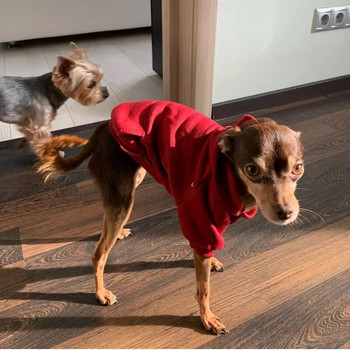 Μασίφ κουκούλα για σκύλους Ρούχα για κατοικίδια για μικρά σκυλιά Μπουφάν για κουτάβια μπουφάν για Chihuahua Doggie Στολή για κατοικίδια βαμβακερά ρούχα