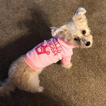 Νέα ανοιξιάτικα και φθινοπωρινά ρούχα για κατοικίδια Teddy Bomei ροζ πριγκίπισσα με κουκούλα γάτα κουτάβι σκύλος ρούχα για σκύλους μπλουζάκια σκύλου με κουκούλα σκύλου