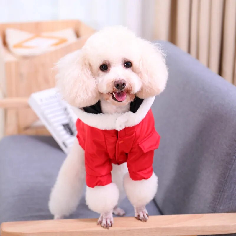 Hoopet ziemas mājdzīvnieku mētelis suņu kaķu apģērbs ziemas apģērbs buldogs šnaucers korgi silta jaka Maza suņa jaka