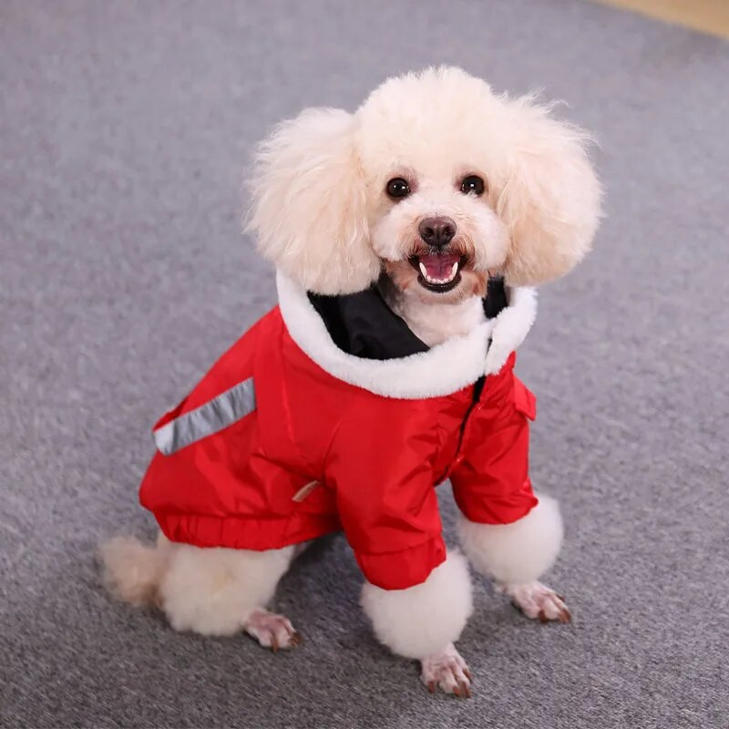 Hoopet ziemas mājdzīvnieku mētelis suņu kaķu apģērbs ziemas apģērbs buldogs šnaucers korgi silta jaka Maza suņa jaka