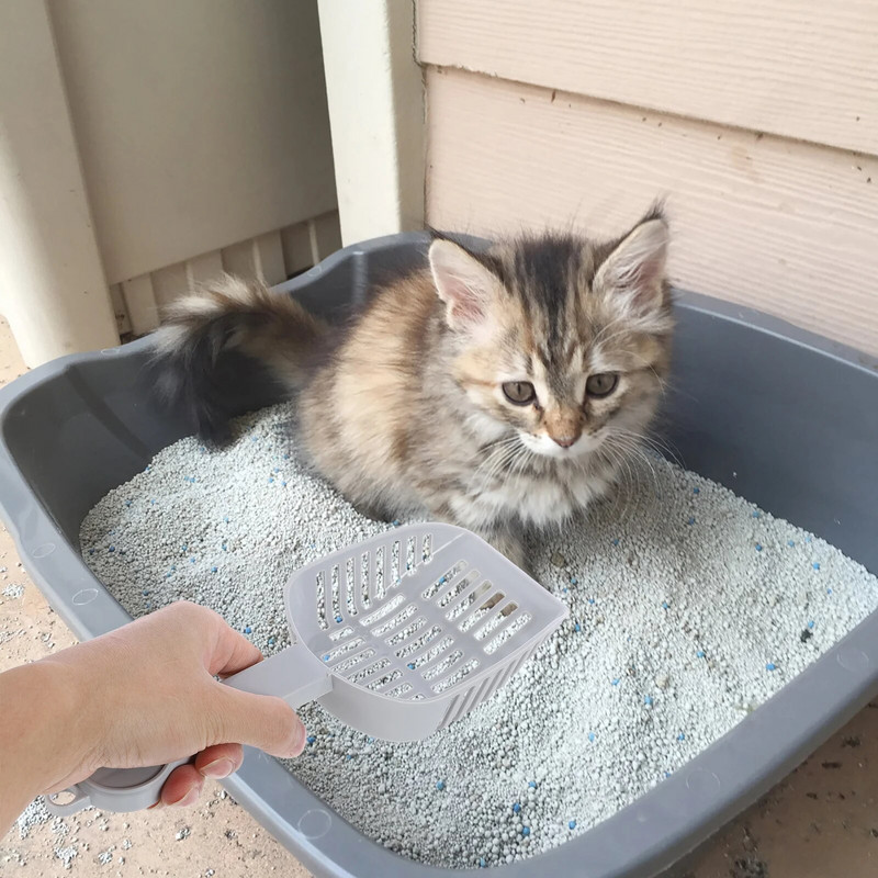 Φορητό Σετ απορριμμάτων γατών γατών Αξεσουάρ καθαρισμού για κατοικίδια Φτυάρι και Φτυάρι βαρελιού αποθήκευσης Σετ εργαλείων καθαρισμού (Γκρι)