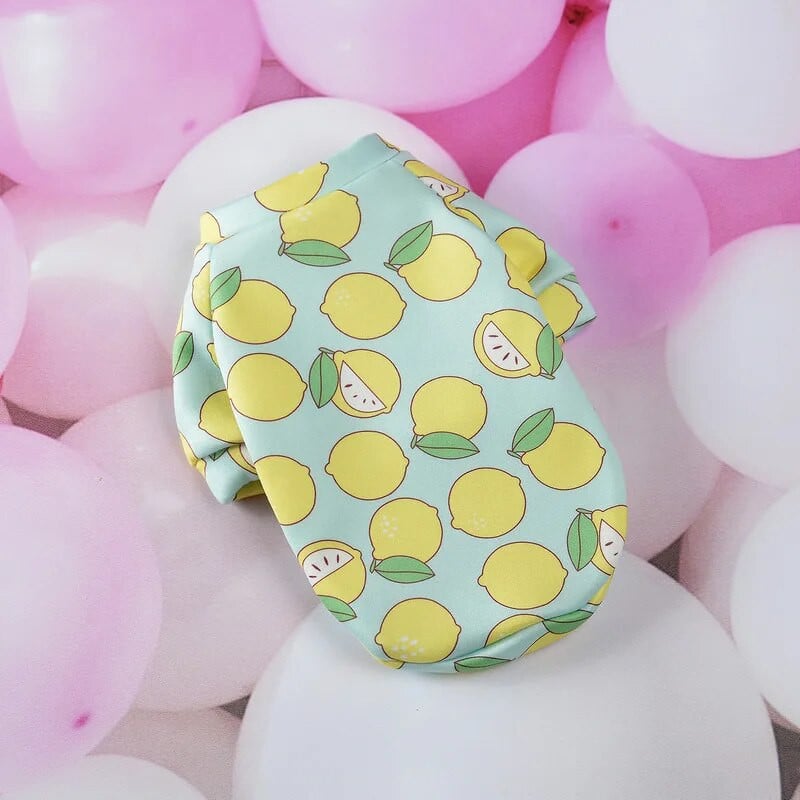 Jesenska i zimska odjeća za pse majice tople majice za pse odjeća za male, srednje i velike pse kućni ljubimci čivave