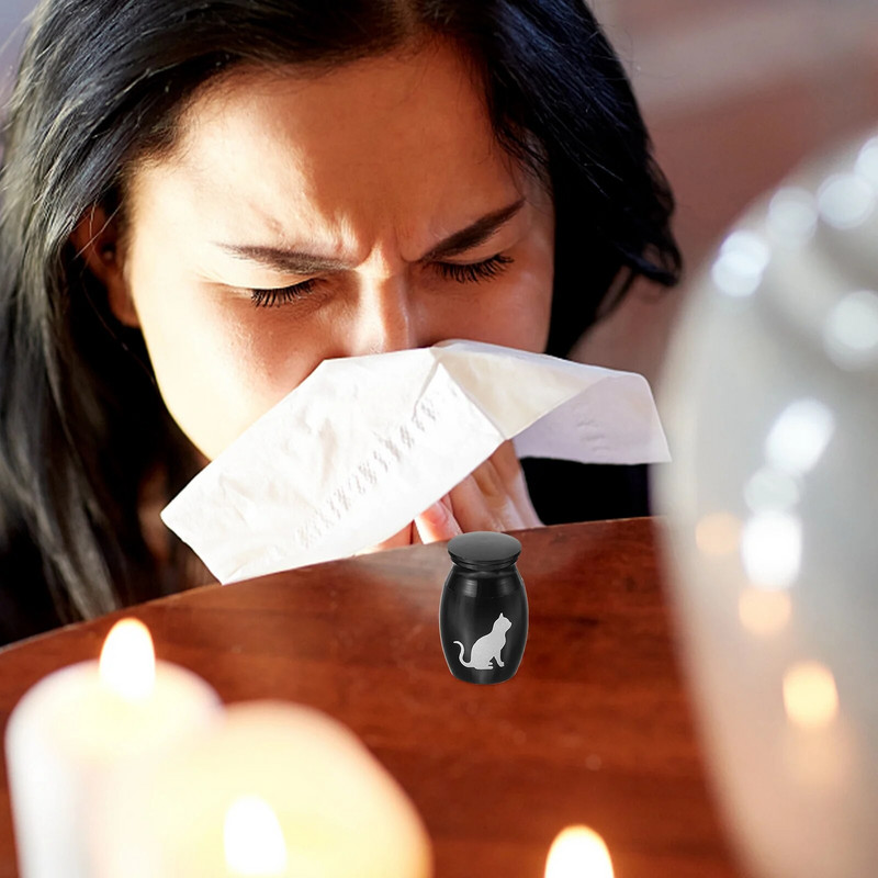 Mājdzīvnieku urnu kremācijas sakausējuma urnas Mini Metāls Suņiem Dekoratīva piemiņa Mazi pelni