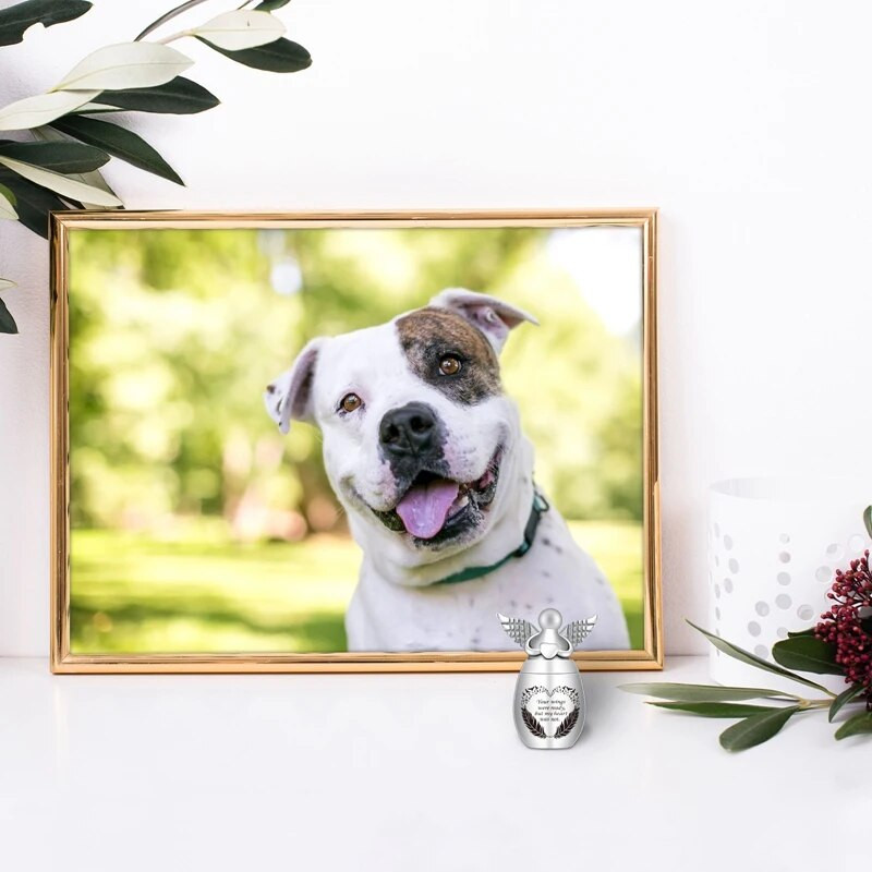 Urne za uspomenu na kremaciju za ljudski pepeo, amajlije s anđeoskim krilima Memorijalne urne za uspomenu, mini urne za kremiranje za pse, mačke, ljudski držač