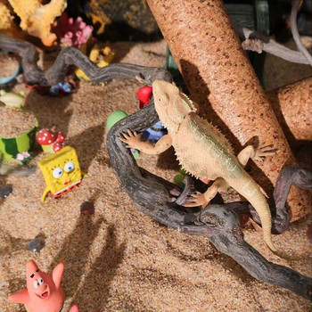 2 τμχ Αξεσουάρ ερπετών Ξύλινα κλαδιά Αναρριχητικό κλαδί Ξύλινο ντεκόρ παιχνιδιών Terrarium Rack Tank Standing Lizard Tree Crested gecko