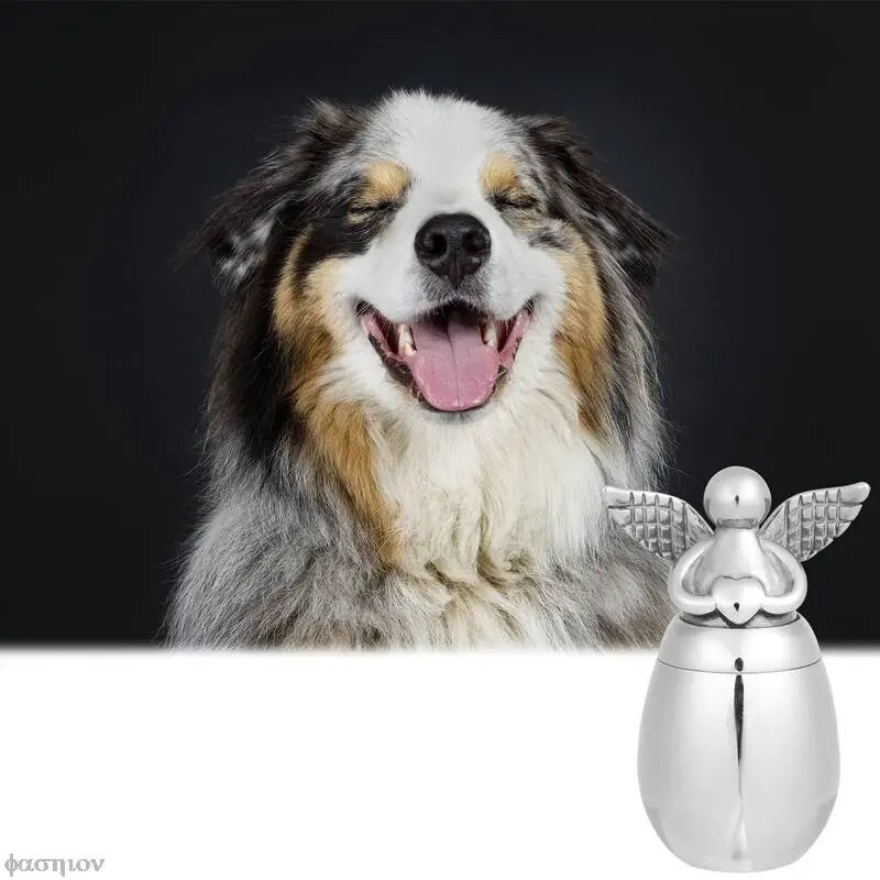 Urne de incinerare din oțel inoxidabil, din oțel inoxidabil, pentru cenușa de animale de companie, poate fi gravată Suport pentru cenușă memorială