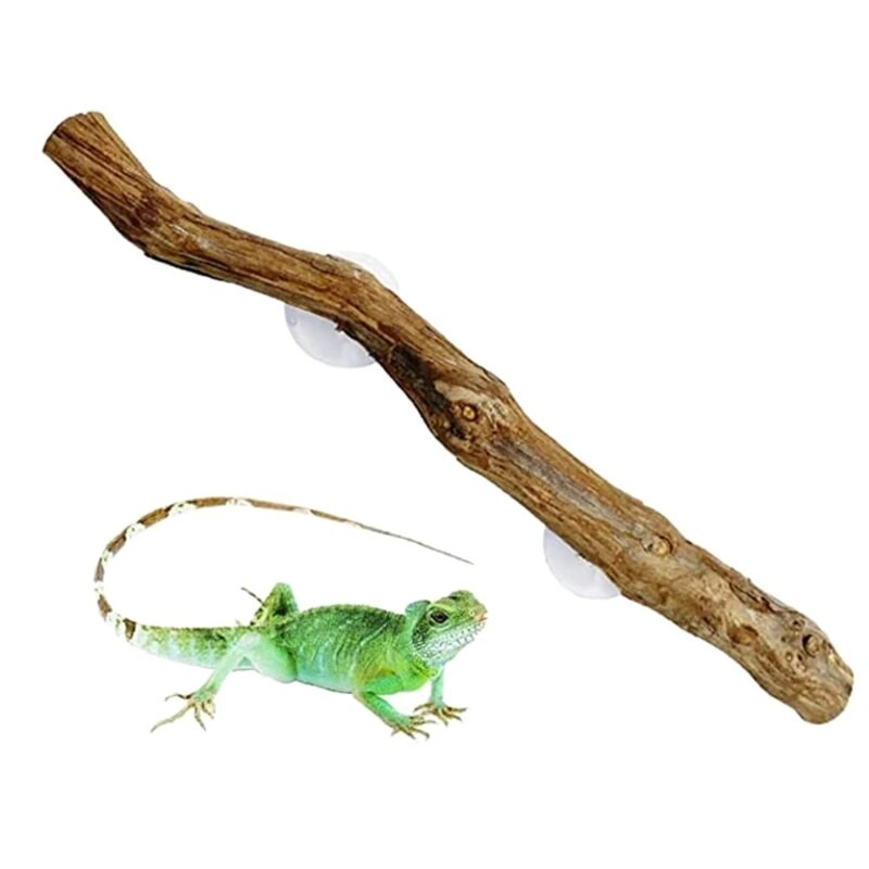 Hüllők hegymászó szőlő / bambusz terrárium növény dekoráció tapadókorongokkal