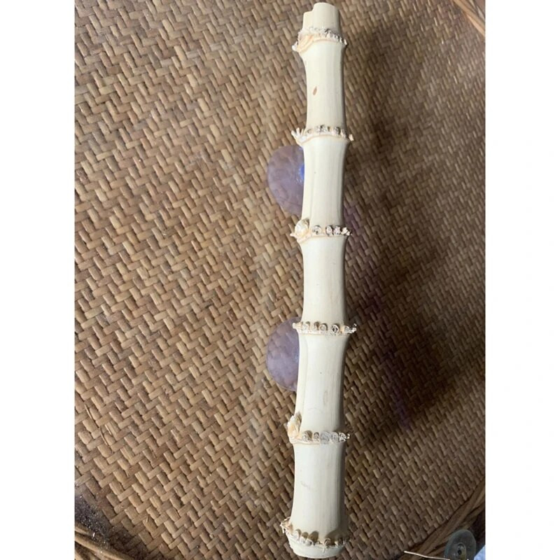 Hüllők hegymászó szőlő / bambusz terrárium növény dekoráció tapadókorongokkal