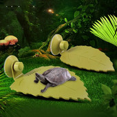 Amphibians Reptiles Feeder Plastic Reptile Terrarium Λεκάνη παιχνιδιού και ανάπαυσης Tortoise Lizard Crawler Bowl Basin Water Fountain