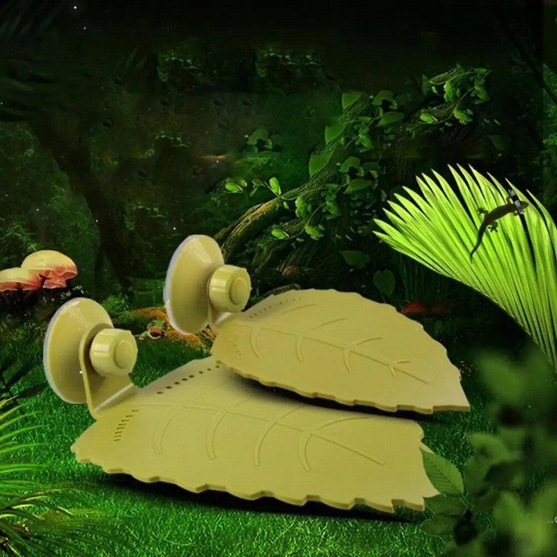 Amphibians Reptiles Feeder Plastic Reptile Terrarium Λεκάνη παιχνιδιού και ανάπαυσης Tortoise Lizard Crawler Bowl Basin Water Fountain