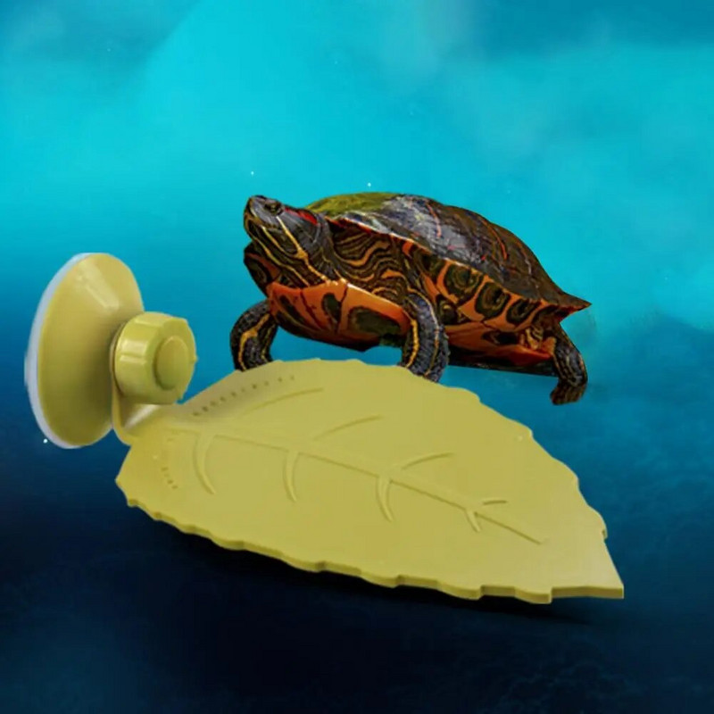 Amphibians Reptiles Feeder Plastic Reptile Terrarium Λεκάνη παιχνιδιού και ανάπαυσης Tortoise Lizard Crawler Bowl Basin Water Fountain