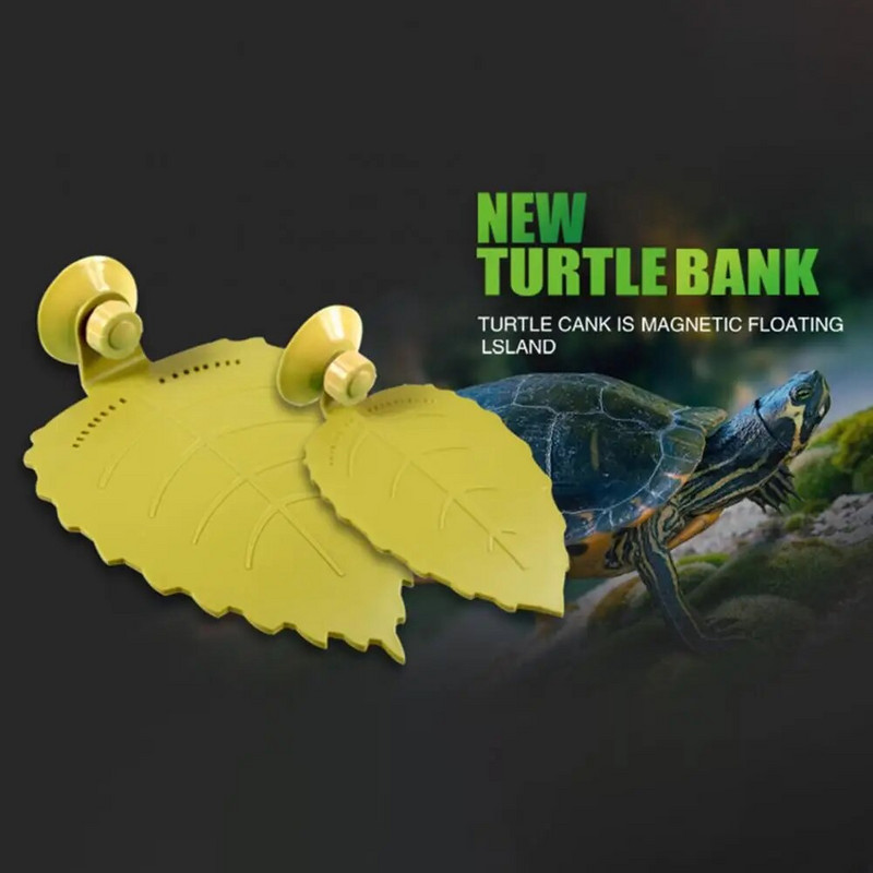 Amphibians Reptiles Feeder Plastic Reptile Terrarium Λεκάνη παιχνιδιού και ανάπαυσης Tortoise Lizard Crawler Bowl Basin Water Fountain