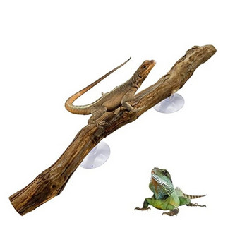 Ъглова лозова клонка с вендузи Риба за аквариум Озеленена декорация за брадати драконови гекони