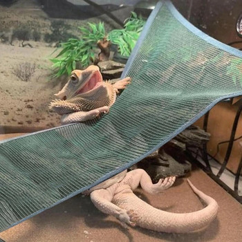 Κρεμαστή ξαπλώστρα κρεβατιού με αιώρα ερπετού με 4 γάντζο αναρρόφησης για γενειοφόρο δράκο λεοπάρ σαύρα φίδι