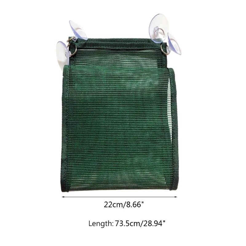 Rāpuļu šūpuļtīkls, piekarināms gultas krēsls ar 4 sūkšanas āķi bārdainajai pūķa leoparda ķirzakas čūskai