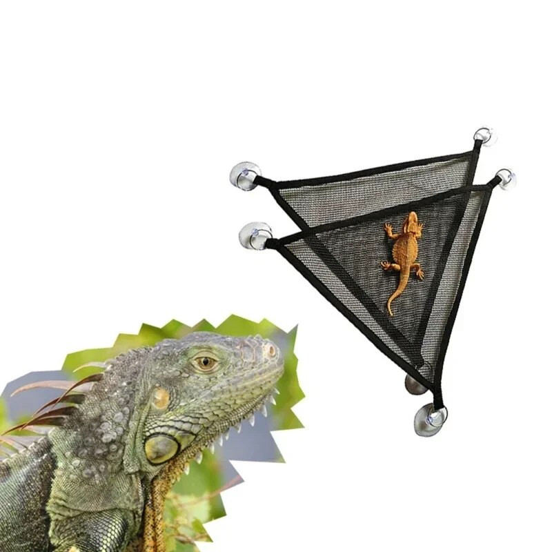 Vasaras rāpuļu šūpuļtīkls ķirzakai, Tīkla šūpuļtīkls rāpuļu terasei, kāmis, holandiešu cūka, foršs, vasara