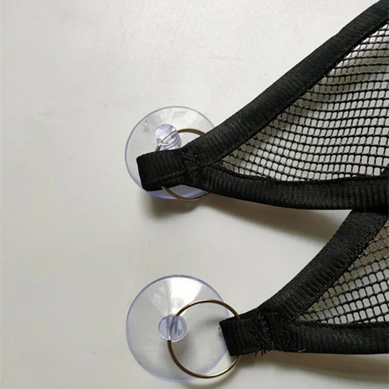 Vasaras rāpuļu šūpuļtīkls ķirzakai, Tīkla šūpuļtīkls rāpuļu terasei, kāmis, holandiešu cūka, foršs, vasara