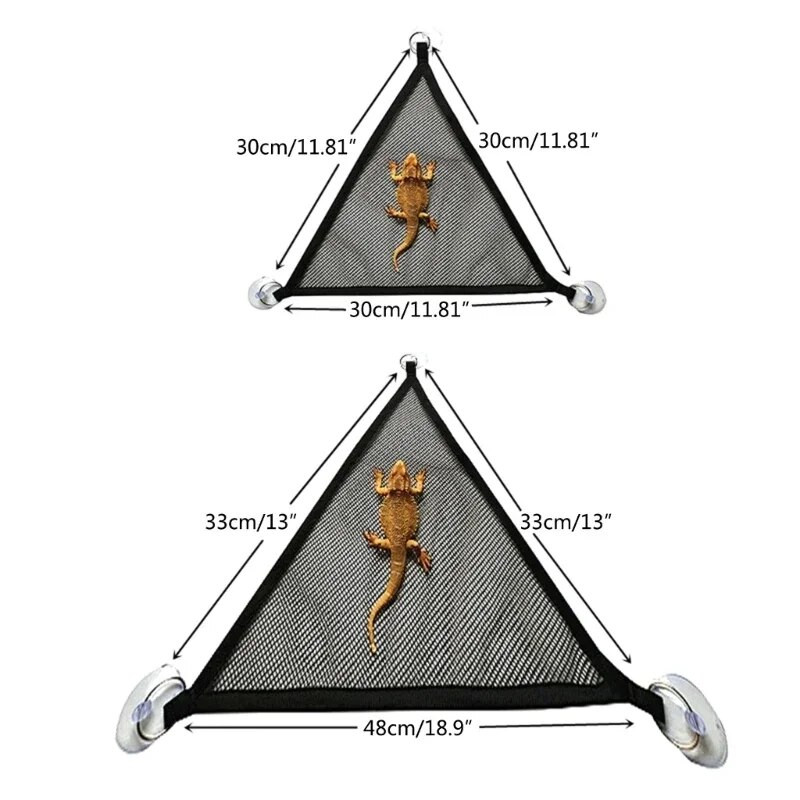 Vasaras rāpuļu šūpuļtīkls ķirzakai, Tīkla šūpuļtīkls rāpuļu terasei, kāmis, holandiešu cūka, foršs, vasara