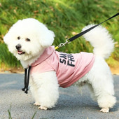 2024 Νέα ρούχα για κατοικίδια μόδα Hot Drawing Can Draw Dog Hoodie Μικρά ρούχα για σκύλους Ρούχα για γάτες Hoodie για κατοικίδια