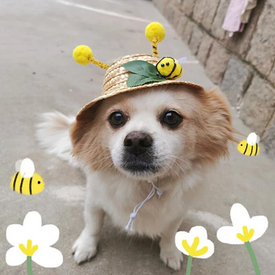 Pet Hat Comfortable Useful Ladybug Bees Decoration Hat 2 Sizes Dog Straw Hat Knitted Dogs Straw Hat for Outdoor