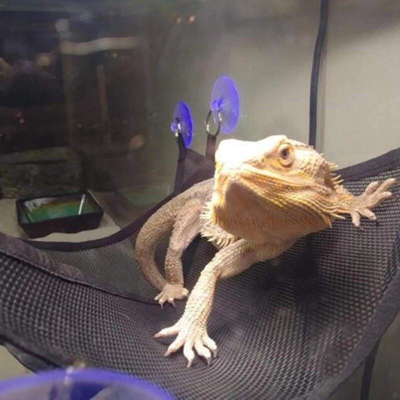 Σετ αξεσουάρ σκάλας ξαπλώστρας αιώρας ερπετών για μεγάλους μικρούς γενειοφόρους δράκους Anole Geckos Lizards or Snakes (Τρίγωνο, 19×13×1