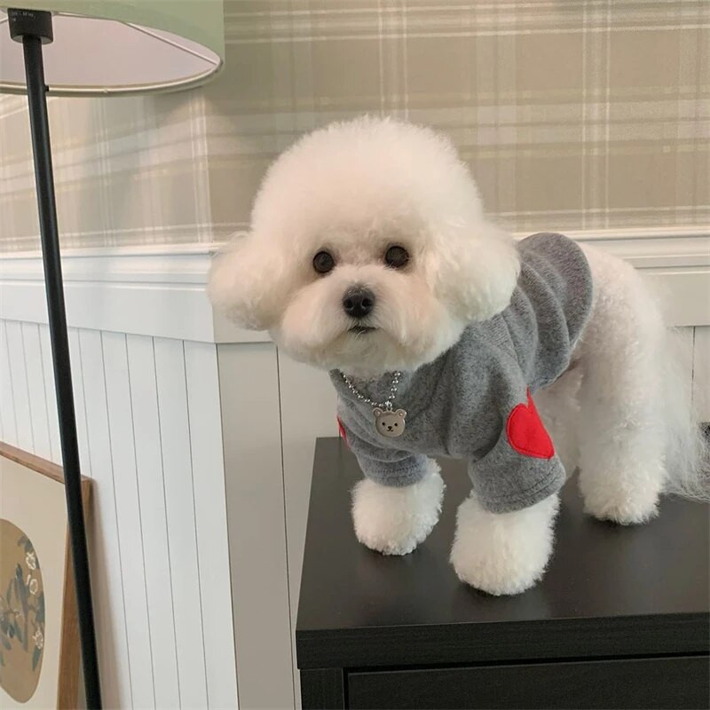Sügistalvine plüüsriided lemmikloomakoertele Südameprint Pehme sametine kassi kapuuts Teddy lemmikloomade kombinesoonid Paksud soojad Yorkshire`i marzised riided