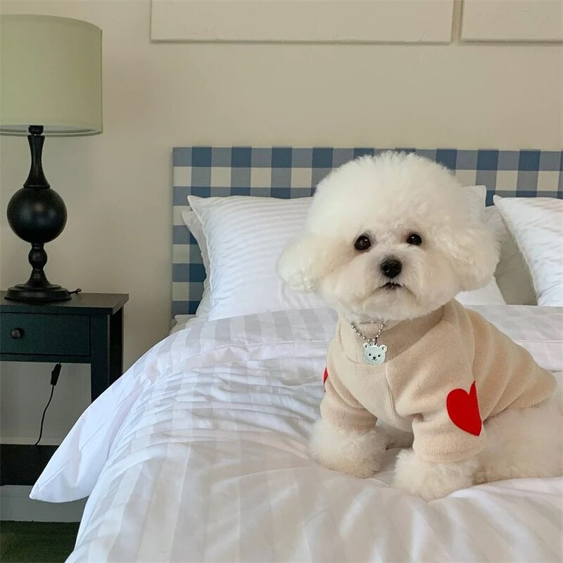 Sügistalvine plüüsriided lemmikloomakoertele Südameprint Pehme sametine kassi kapuuts Teddy lemmikloomade kombinesoonid Paksud soojad Yorkshire`i marzised riided