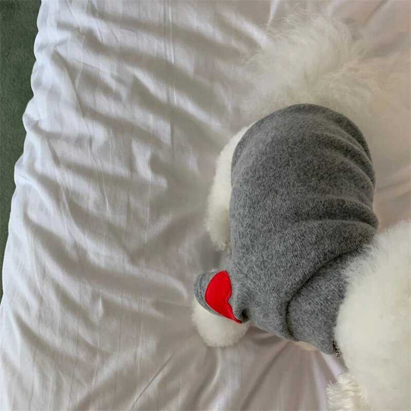 Sügistalvine plüüsriided lemmikloomakoertele Südameprint Pehme sametine kassi kapuuts Teddy lemmikloomade kombinesoonid Paksud soojad Yorkshire`i marzised riided