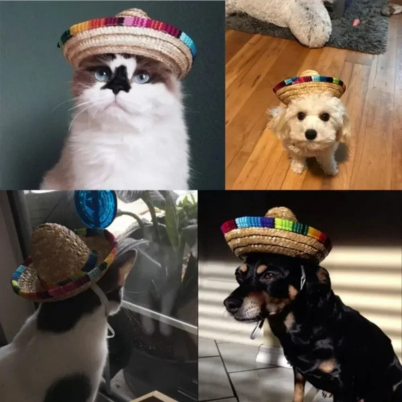 Sombrero mājdzīvnieku salmu cepure Mājdzīvnieku rotājumi Krāsaini mājdzīvnieku salmu cepure suns kaķis meksikāņu salmu kostīms suns aksesuāri conejos accesorios