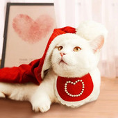 Kaķa šalle mājdzīvnieku priekšautiņš, dekorēts ar venēciešu pērlēm, siekalām dvielis kaķiem, suņiem, apģērba piederumiem kucēniem