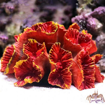 Аквариум Изкуствен корал Растение Цветна смола Орнамент Симулация Нетоксични сладководни соленоводни риби за аквариум Dec
