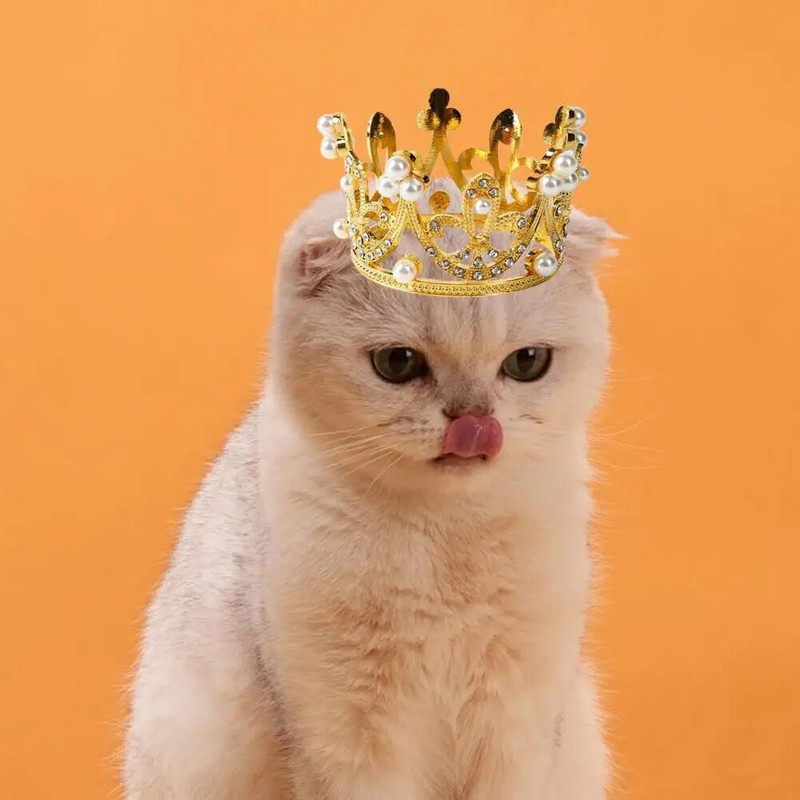 Mājdzīvnieku galvassegas Apburoša Cosplay Mini dzimšanas dienas kāzu cepure Matu kronis Fotorekvizīti Kaķu suņu aksesuāri Gatos Rotaļlietas Mascotas