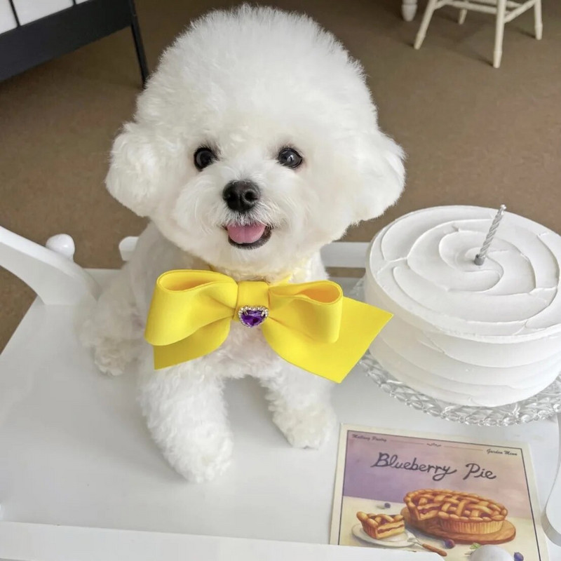 Bow kaklasiksna suns kaklasaite Mājas suns kaķis Dekoratīvā kaklasiksna mājdzīvnieku piederumi Foto šalle Suņu aksesuāri maziem suņiem Taurītes suņiem