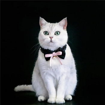 Νέο σχέδιο βελούδινο φιόγκο περλέ κολάρο για γάτες Κουτάβι Εκλεκτό κολιέ μόδας Κολάρο Κομψό πάρτι για κατοικίδια προμήθειες Αξεσουάρ για γάτες