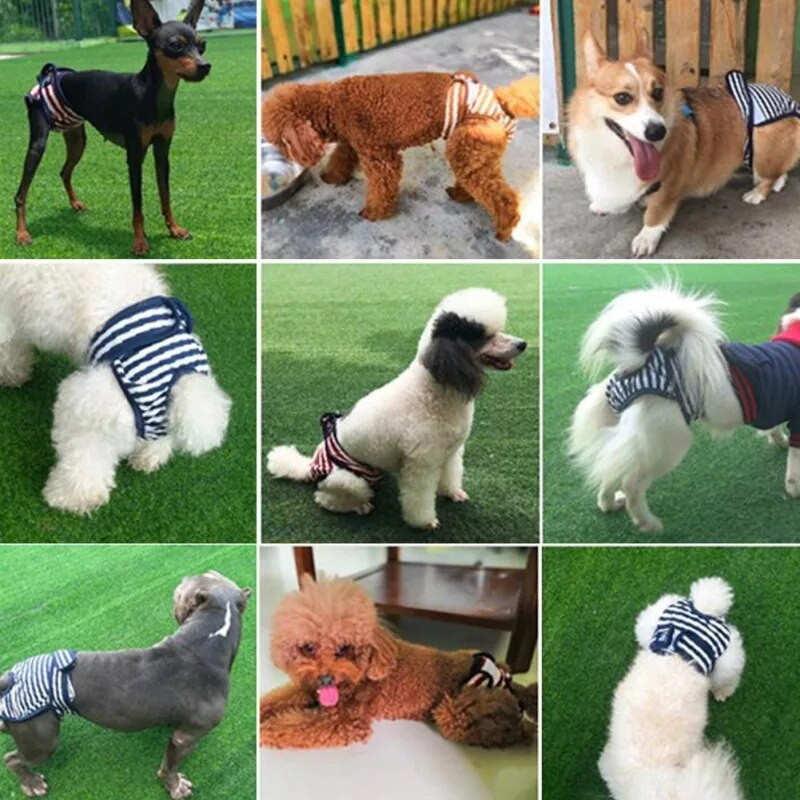 Kratke hlače za pse Gaćice za menstruaciju Gaćice za donje rublje Kombinezon za kućne ljubimce Fiziološke hlače Pelene Sanitarne perive hlače za pse