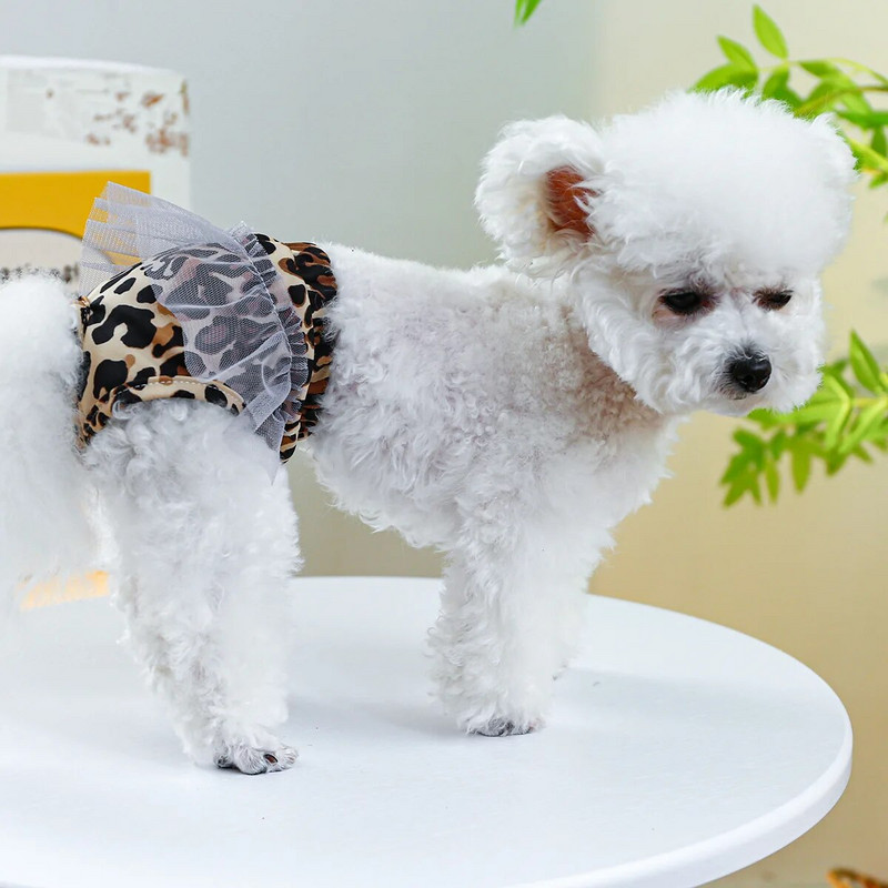 Női bugyik kutyáknak lányok menstruációs kiegészítők és ruhák higiénia ruházat divat leopárd csipke dizájn alsó viselet termékek