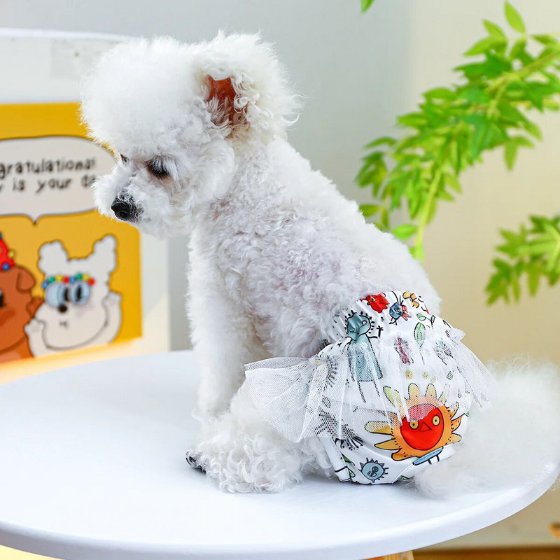 Női bugyik kutyáknak lányok menstruációs kiegészítők és ruhák higiénia ruházat divat leopárd csipke dizájn alsó viselet termékek