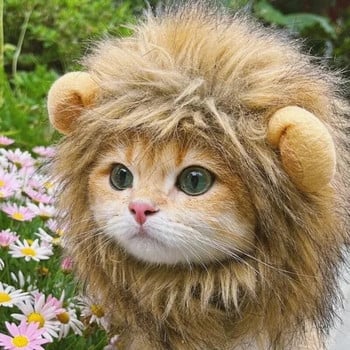 Сладка котешка перука с лъвска грива Pet Small Dog Cats Costume Lion Mane Wig Cap Hat for Cat Dogs Fancy Costume Cosplay Toy Pet Accessories