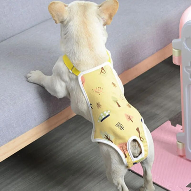 Fiziološke hlačice za kućne ljubimce Pelene koje se mogu prati Ženske kućne ljubimce Kratke gaćice Menstruacijsko donje rublje Gaćice Psići psi Sanitarne potrepštine