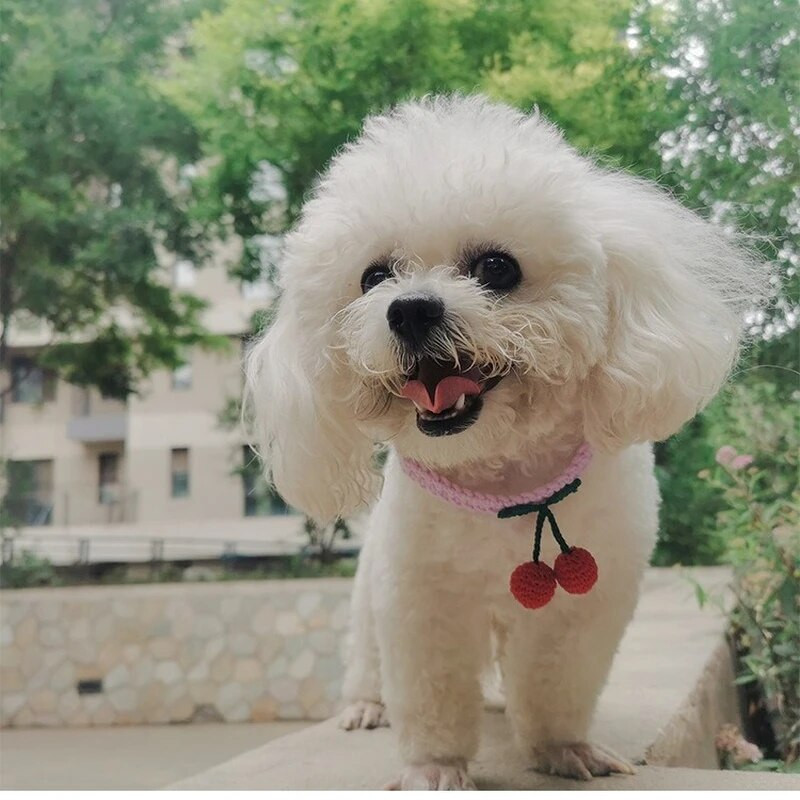 Κερασόκολα για γάτες Πλεκτό κολιέ με μπάλα για σκύλους κατοικίδιων ζώων Χαριτωμένη ρυθμιζόμενη γραβάτα Χειροκίνητο Kitty Scarf Χριστουγεννιάτικα αξεσουάρ για κατοικίδια