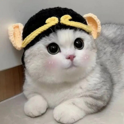 Žieminė kačių kepurė Elastinė miela rafinuota naminių gyvūnėlių kepurė Kačiukai Megzta kepurė Vakarėlis Fotosesijos rekvizitai Dekoravimas Katėms Priedai naminių gyvūnėlių produktai