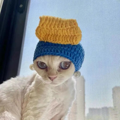 Žieminė kačių kepurė Elastinė miela rafinuota naminių gyvūnėlių kepurė Kačiukai Megzta kepurė Vakarėlis Fotosesijos rekvizitai Dekoravimas Katėms Priedai naminių gyvūnėlių produktai