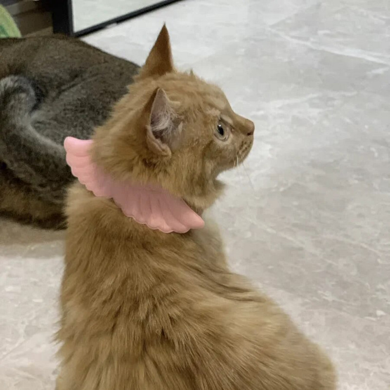 MPK Aripi de înger Guler pentru pisici Accesorii drăguțe pentru pisici într-o selecție de alb și roz 3 dimensiuni disponibile