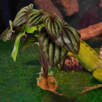 Влечуго Терариум Растение Аквариум Реалистични орнаменти Растения Изкуствен пейзаж Озеленяване на аквариум Симулиран за животни