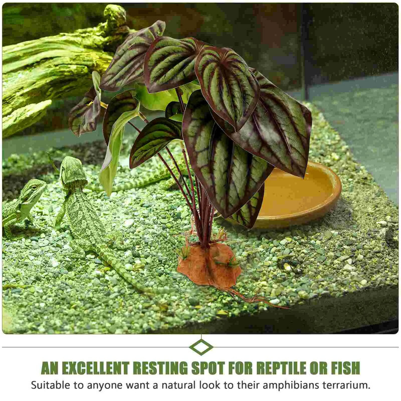 Roplių terariumo augalas žuvų bakas Gyvūniški dekoratyviniai augalai Dirbtinis kraštovaizdis Akvariumo kraštovaizdis, imituotas gyvūnams