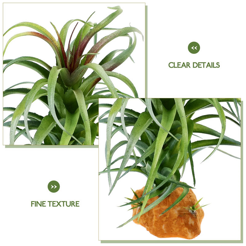 Roplių terariumo augalas žuvų bakas Gyvūniški dekoratyviniai augalai Dirbtinis kraštovaizdis Akvariumo kraštovaizdis, imituotas gyvūnams